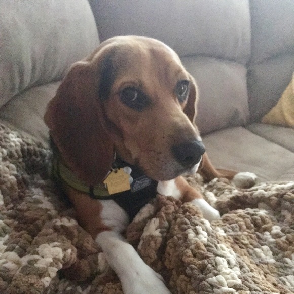 Meet your Posher, Megan - Picture 4 of 5